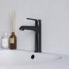 Смеситель для раковины RGW SP-301B 511405301-04 Черный