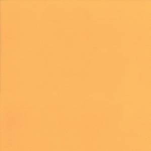 Линолеум Tarkett Omnisports Excel (Омниспортс Эксель) Yellow (Желтый) (рулон: 2x20.5=41м2)