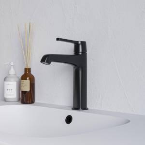 Смеситель для раковины RGW SP-301B 511405301-04 Черный