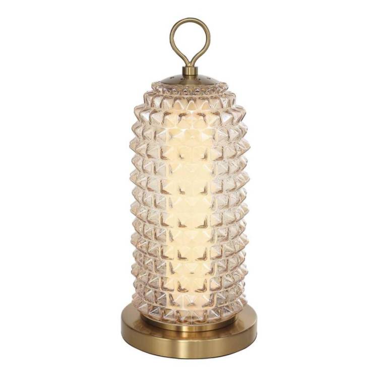 Настольная лампа ST Luce Saguaro SL6144.304.01