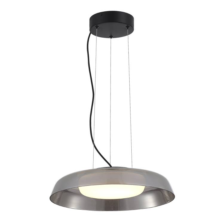 Подвесной светодиодный светильник ST Luce Форей SL6019.413.01