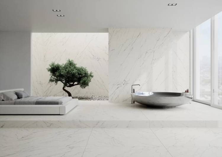 Paradyz Elite