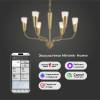 Подвесной светильник Eurosvet Rhyton 60167/6 латунь Smart фото 5