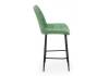 Полубарный стул Notta Челси 360 632571 фисташковый (zd 651) / черный np фото 4