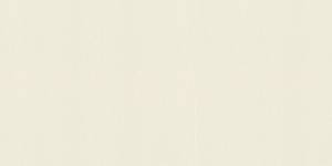 Обои виниловые Rasch Maximum XVI 960747