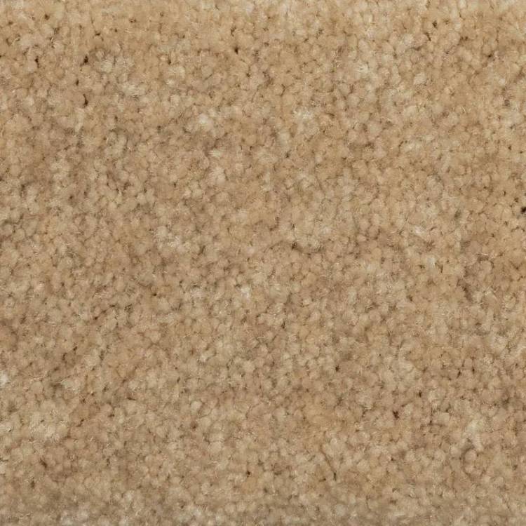 Ковролин AW Euphoria 36 LC (рулон: 5x120=600 м2)