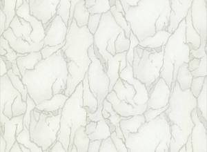 Обои виниловые Emiliana Parati Valentin Yudashkin 5 86028