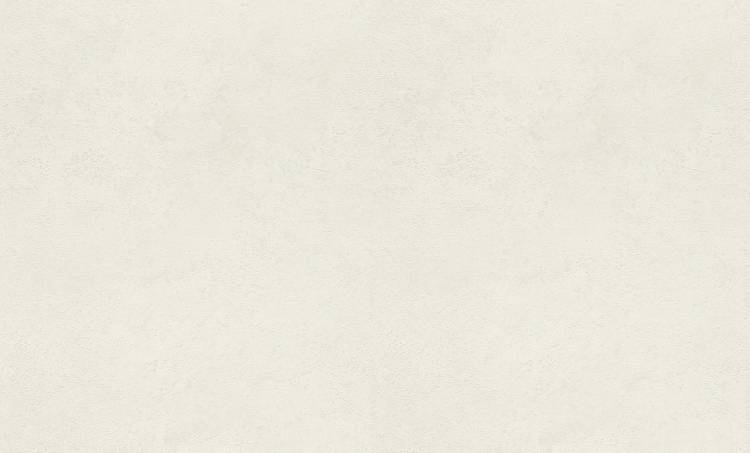 Обои Rasch Graffiti Exclusiv 910551