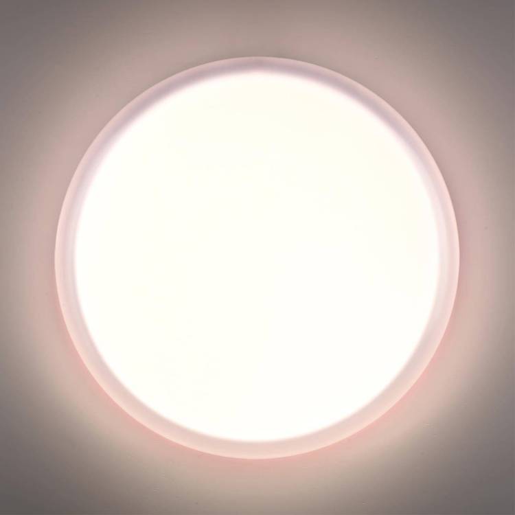 Настенно потолочный светильник Sonex Jolly 7776/DLN