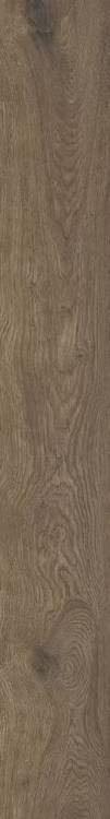 Керамогранит Ragno Boheme RCDE Castagno Rett 20x150