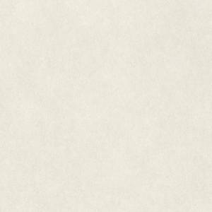 Обои Rasch Raymond 957327