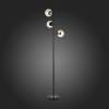 Торшер Evoluce Lacotta SLE154905-03 фото 2
