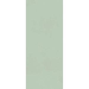 Керамическая плитка FAP Ceramiche True Color fTDV Matcha Matt Rt 50x120