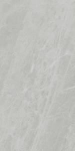 Керамогранит Ariostea Marmi Classici PL612498 Gris De Savoi Luc 60x120