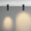 Светильник Technical Ceiling C055CL-L12W2.7K-Z-B фото 4