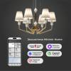 Подвесная люстра Eurosvet Olaria 101012/6 латунь Smart фото 3