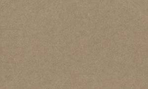 Обои Rasch Trend 947434