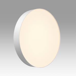 Светильник светодиодный потолочный Sonex Basica 7779/ELN