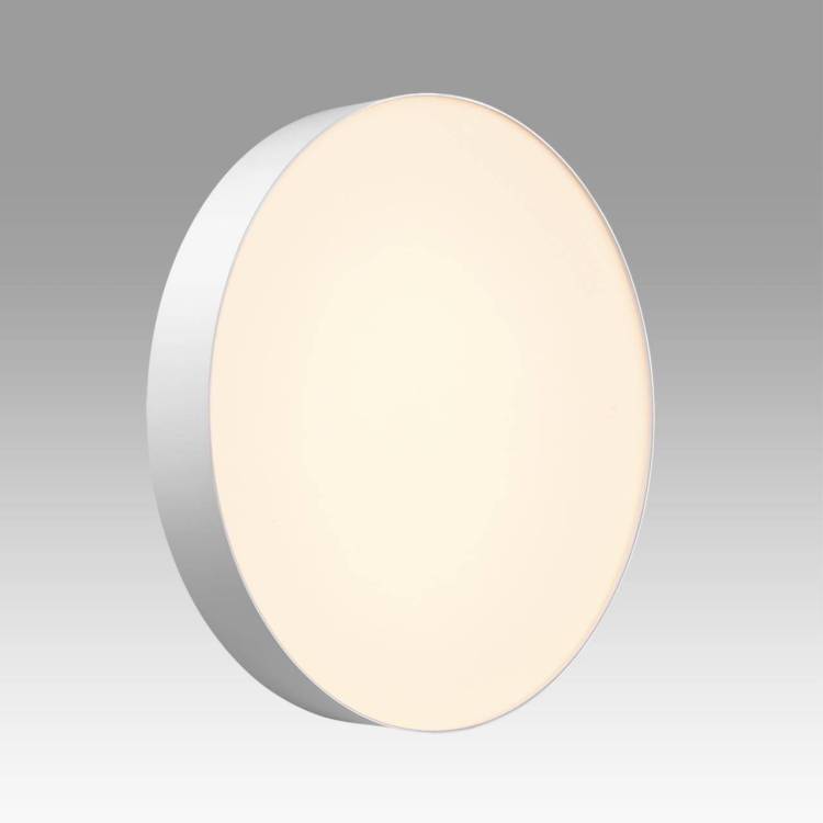 Светильник светодиодный потолочный Sonex Basica 7779/ELN