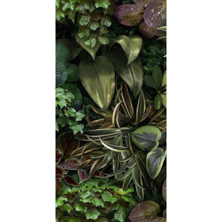 Декор 41ZERO42 Paper41 Pro 4100152 Jane B 50x100