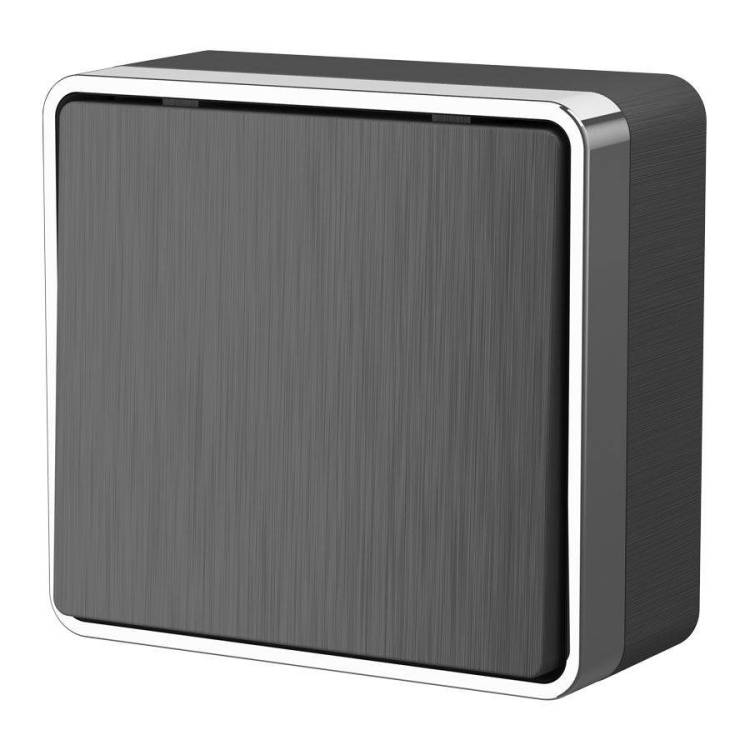 Выключатель одноклавишный проходной Werkel Gallant W5012004