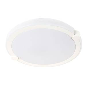 Потолочный светодиодный светильник Arte Lamp Biscotti A2679PL-72WH