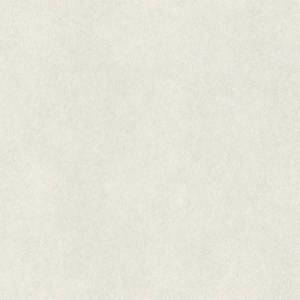 Обои Rasch Raymond 957303