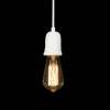 Подвесной светильник Loft IT Sherwood 10091 фото 4