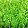 Искусственная трава MultiGrass мультиспорт, высота ворса 20 мм