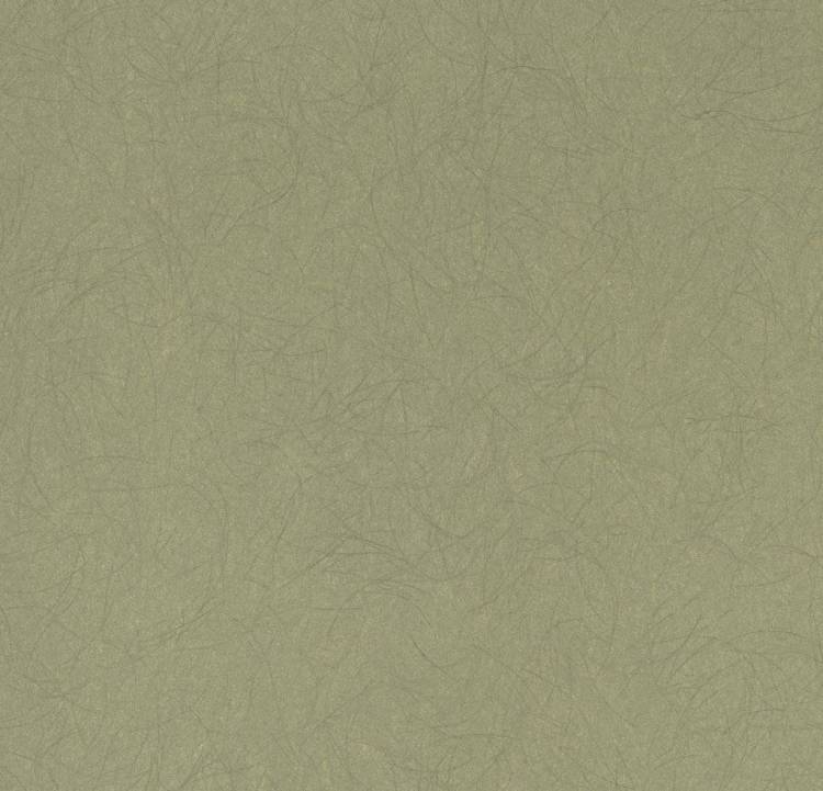 Обои флизелиновые Bernardo Bartalucci Legend 5068-50