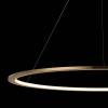Подвесной светодиодный светильник Loft IT Ring 10014L фото 2