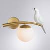 Бра Arte Lamp Eltanin A3422AP-1GO фото 3