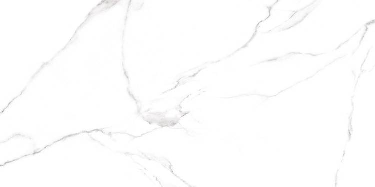 Керамогранит Alma Ceramica Carrara GFU60120CRR00R 60x120