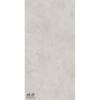 Керамогранит NT Ceramic Granite NTT99612L Obelisk Ash Lap 60x120