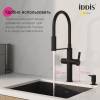 Смеситель для кухни Iddis Ikon IKNMGFFi05 с каналом для фильтрованной воды, черный, матовый фото 7