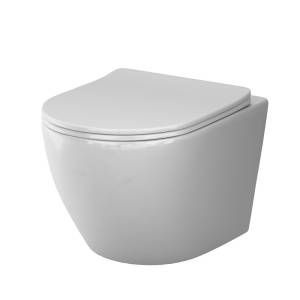 Унитаз подвесной Am.Pm Like C801901SC безободковый, с крышкой-сиденьем микролифт