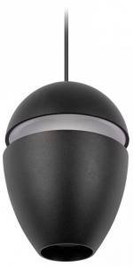 Подвесной светильник Loft It Viterbo 10336 Black