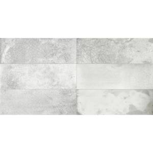 Керамическая плитка Peronda FS Raku Silver 20x40