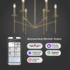 Люстра на штанге Eurosvet Anders 60142/6 латунь Smart фото 4