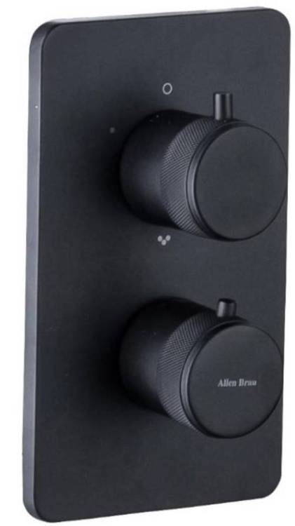 Термостатический смеситель Allen Brau Priority V.1 5.31113-31 для душа, черный матовый