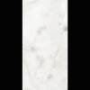 Керамогранит Рlanet Сeramics Onyx Silver 60x120