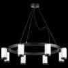 Подвесная люстра Lightstar Rullo LR01836837 фото 3