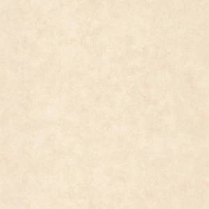 Обои Caselio Beton 2 101491460