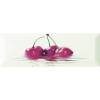 Декор Monopole Fresh/Primavera Decor Fresh Cereza 10x30