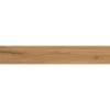 Керамогранит Atlas Concorde Log AX4J Amber Oak Forest Grip 20x120
