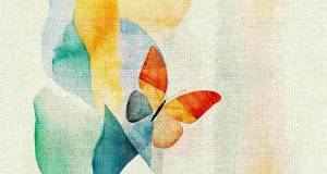 Ковер Кайраккумские ковры 311-21 Прямоугольник 2x3 м