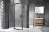 Душевой уголок Royal Bath RB HPVD-C-BL профиль черный, стекло матовое, 110x90x200 фото 2