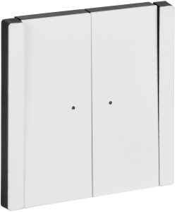 Выключатель 2-клавишный IEK Forte&Piano FP-V20-1-10-1-M-K01 белый