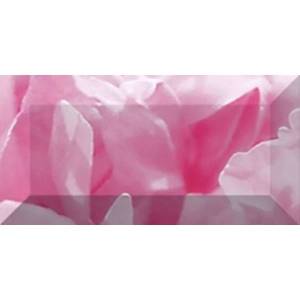 Бордюр Ceramica Classic Peony br1020D281-1 10x20