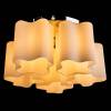 Потолочная люстра Arte Lamp Serenata A3479PL-5CC фото 2